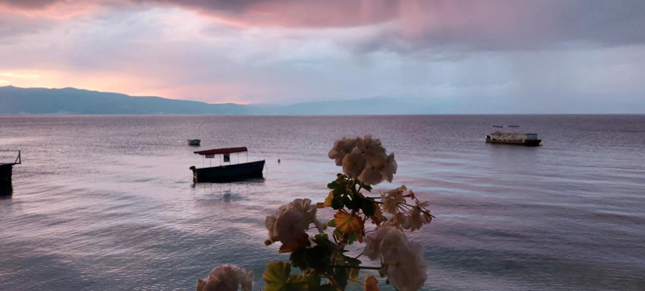 Villa Dea Ohrid Exterior photo